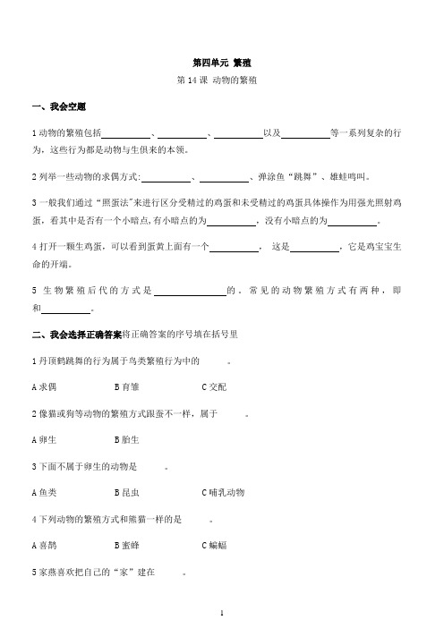 小学科学苏教版四年级下册第四单元第14课动物的繁殖一课一练（含答案）