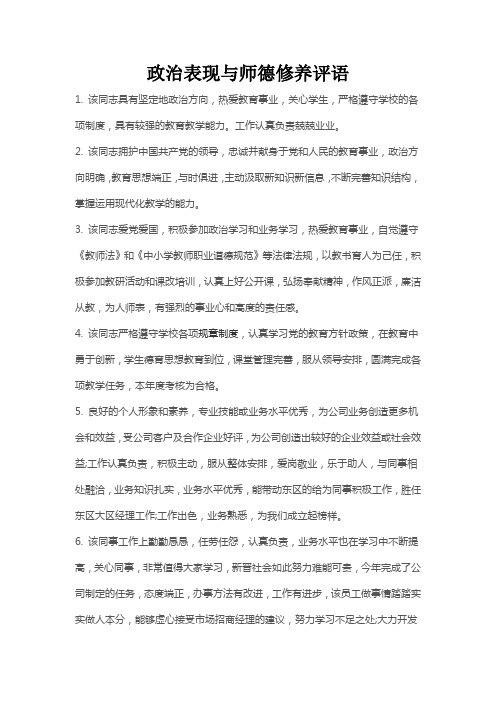 政治表现与师德修养评语