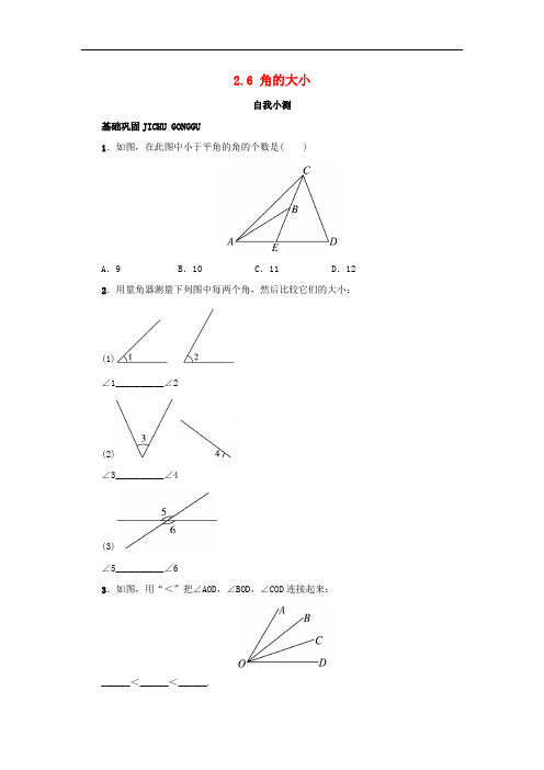 七年级数学上册 第二章 几何图形的初步认识 2.6 角的大小专题练习1 (新版)冀教版
