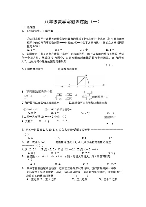 八年级数学寒假训练题1.doc