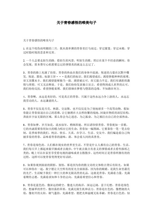 关于青春感悟的唯美句子