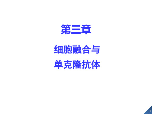 细胞融合与单克隆抗体