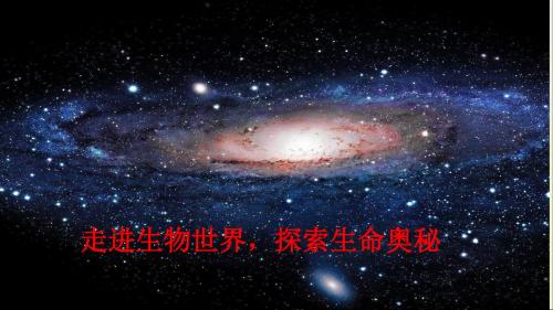 第一章第一节 从生物圈到细胞 课件