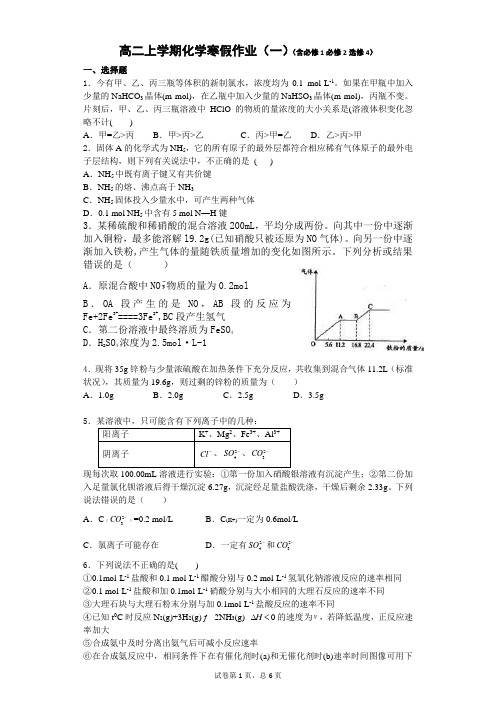 高二上学期化学寒假作业