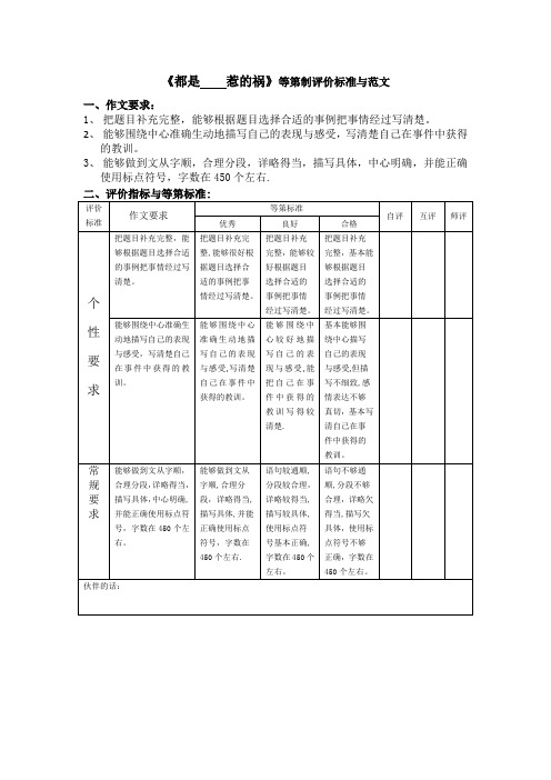 《都是——惹的祸》等第制评价标准与范文