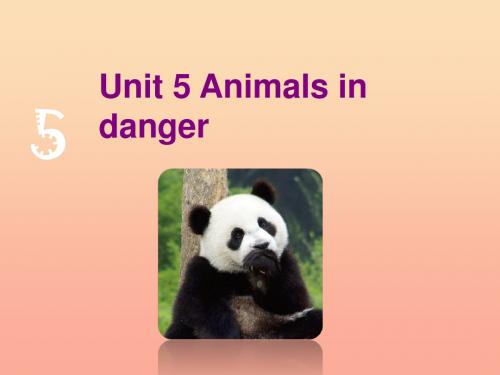 六年级英语上册Unit5Animalsindanger课件牛津上海版