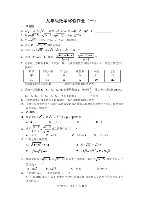 九年级数学寒假作业