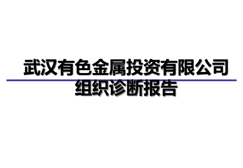 有色金属投资有限公司组织诊断报告