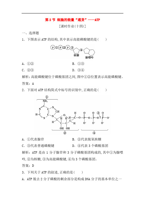 2018_2019学年高中生物第五章细胞的能量供应和利用第2节细胞的能量“通货”__ATP优化练习新人教版必修198