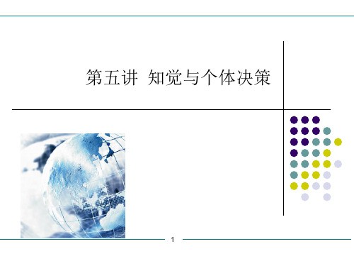 知觉与个体决策讲义(PPT 38页)