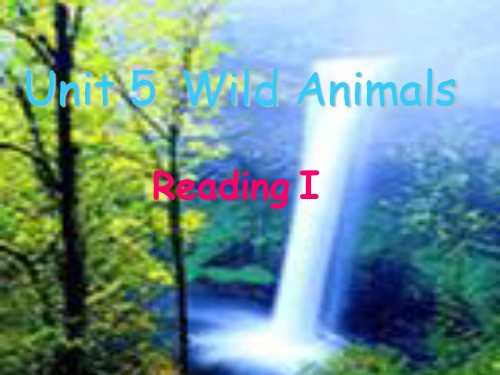 译林牛津版8A Unit 5 Wild animals Reading I 教学课件  (共34张PPT)