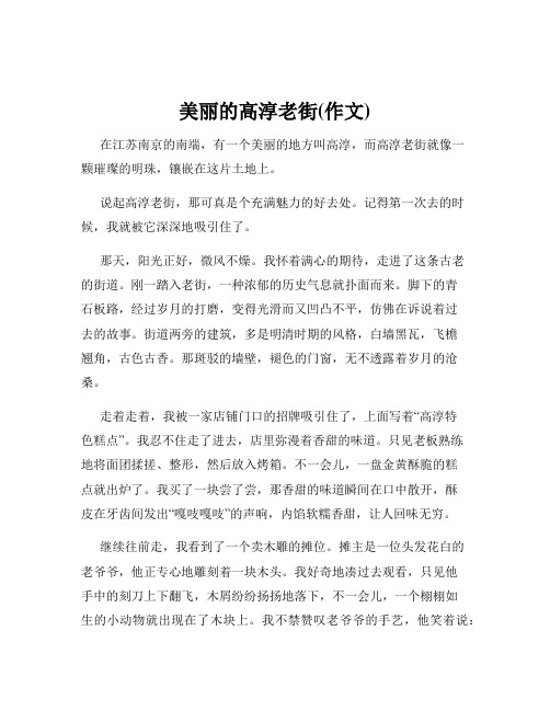 美丽的高淳老街(作文)