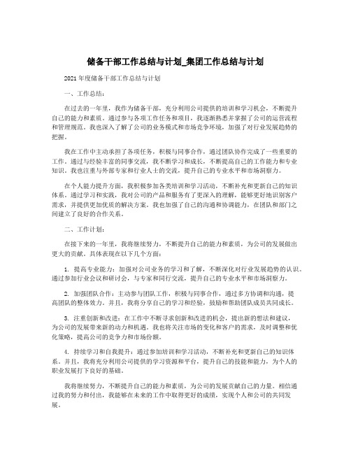 储备干部工作总结与计划_集团工作总结与计划