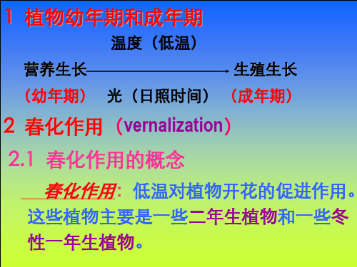 第十一章植物的生殖生理