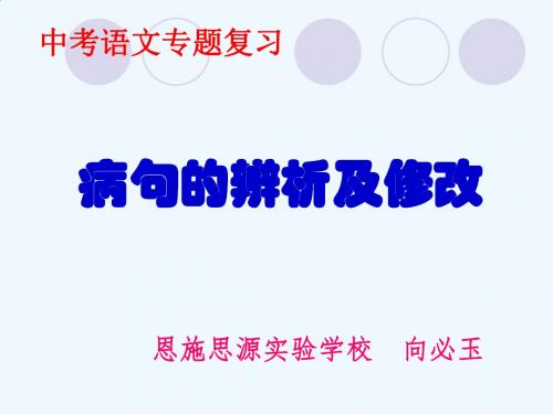 语文人教版九年级下册病句的辨析与修改