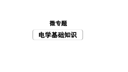 2024内蒙古中考物理二轮复习 微专题 电学基础知识 (课件)