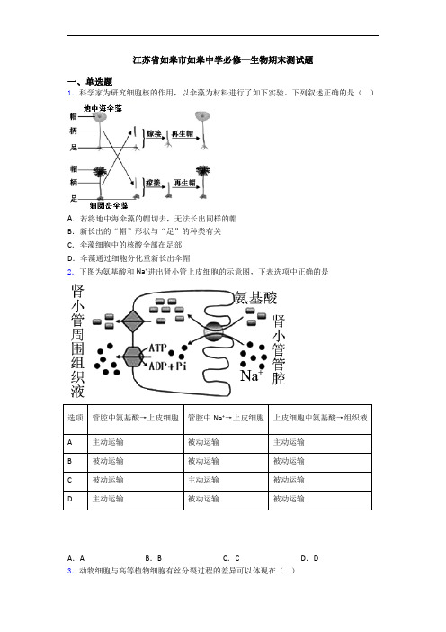 江苏省如皋市如皋中学必修一生物期末测试题