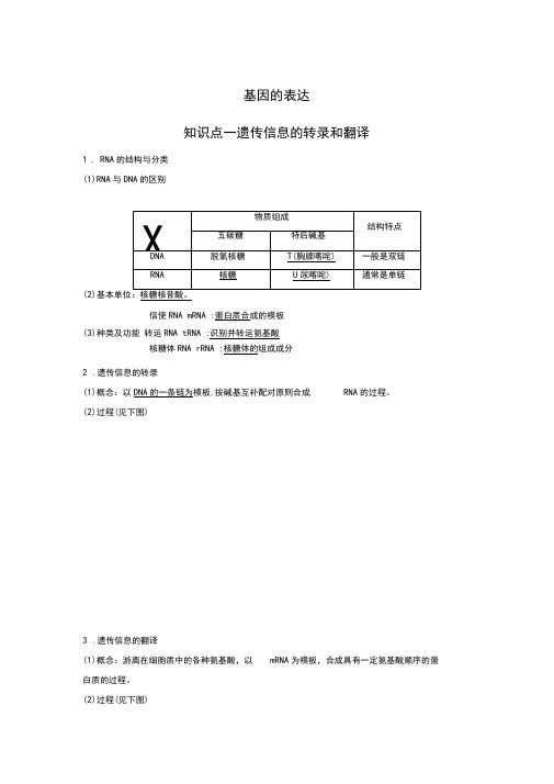 完整word版,生物必修二基因的表达知识点知识总结基础梳理,推荐文档