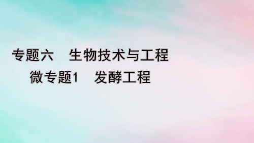 2024届高考生物考前冲刺第1篇专题素能提升专题6生物技术与工程微专题1发酵工程课件