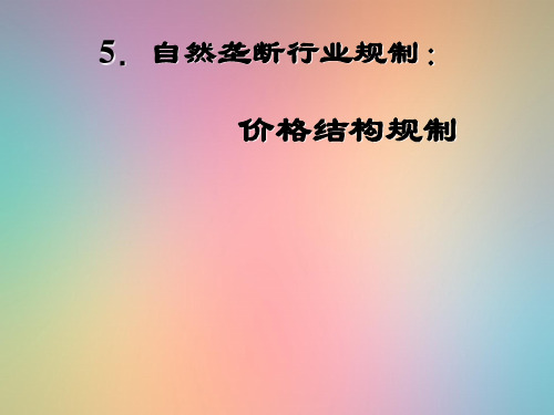 自然垄断行业规制：价格结构规制PPT教学课件