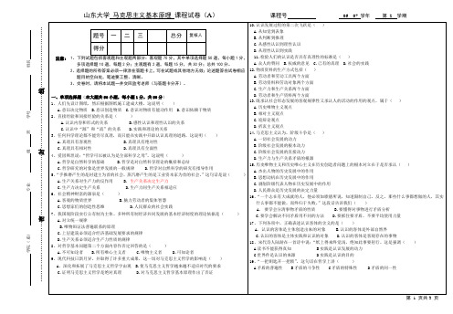 山东大学威海分校马克思主义基本原理试卷a(含答案)