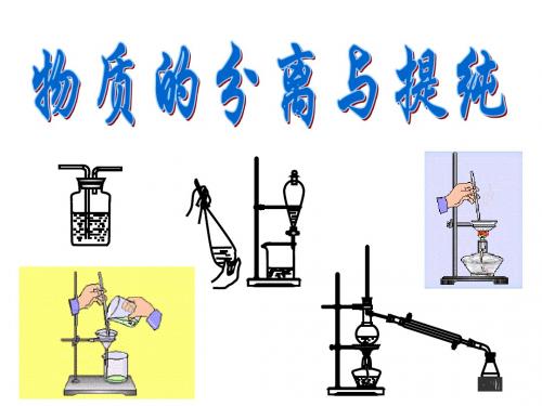 物质的分离与提纯