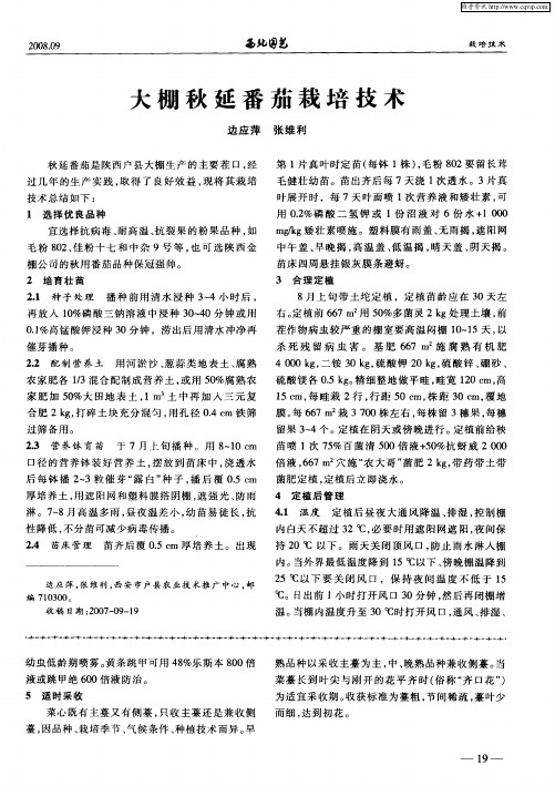 大棚秋延番茄栽培技术