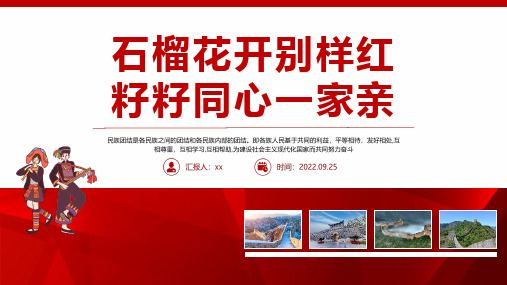 完整版石榴花开别样红籽籽同心一家亲PPT 民族团结一家亲主题班会PPT课件