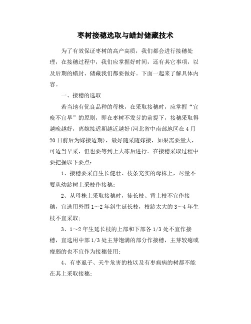 枣树接穗选取与蜡封储藏技术