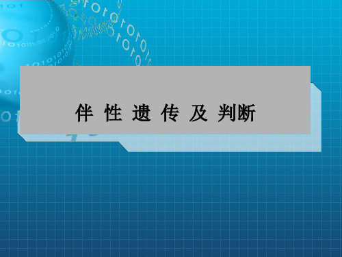 《伴性遗传及判断》PPT课件