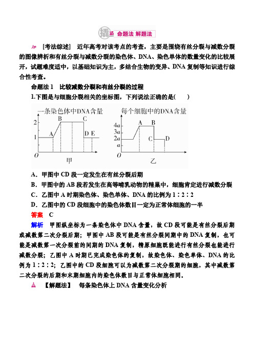 2018生物一轮对点训练：9-2有丝分裂与减数分裂的综合a