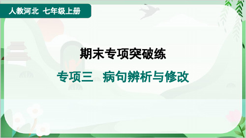 2024年部编版七年级上册语文期末复习专项三 病句辨析与修改