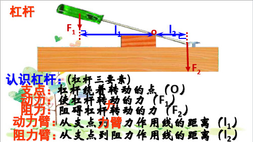 初中物理九年级上册《11第11章 简单机械和功》PPT课件 (2)