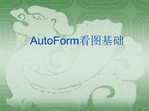 AutoForm看图培训