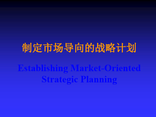 制定市场导向的战略计划-32页文档资料