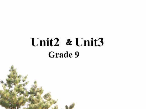 人教英语九年级全册Unit2 ﹠Unit3复习课件 (共17张PPT)