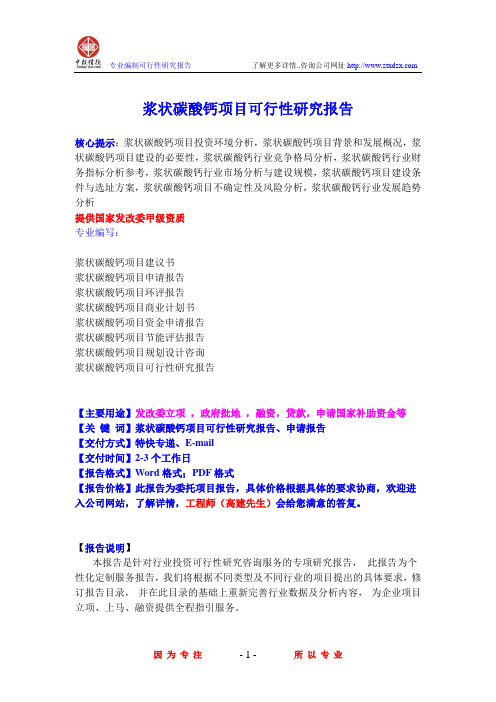 浆状碳酸钙项目可行性研究报告