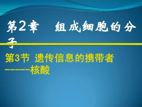 2-3遗传信息的携带者核酸