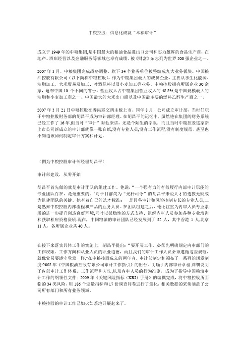 中粮控股审计信息化案例