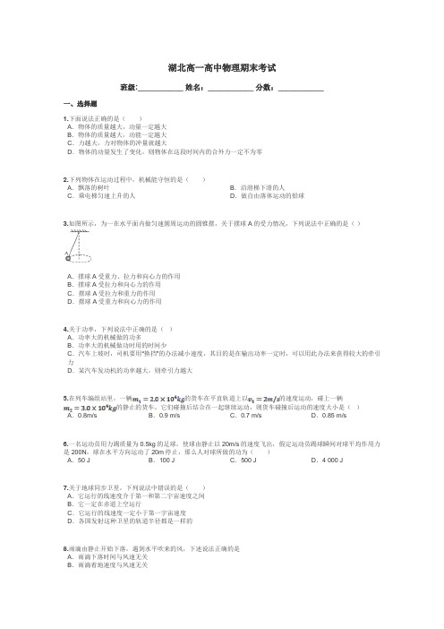 湖北高一高中物理期末考试带答案解析
