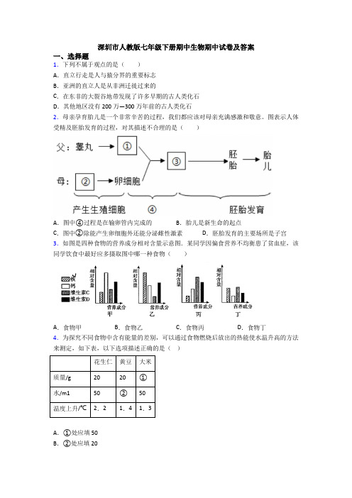 深圳市人教版七年级下册期中生物期中试卷及答案