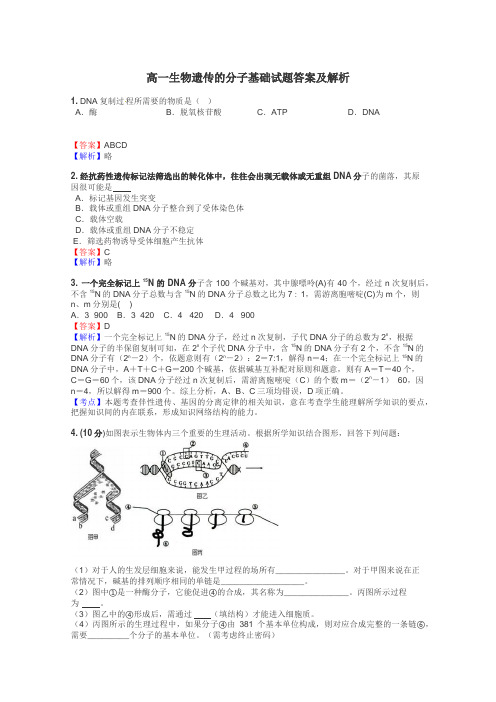 高一生物遗传的分子基础试题答案及解析
