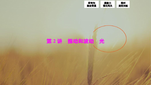 2018届高三物理高考二轮复习 第一部分 专题八 第2讲 振动和波动 光