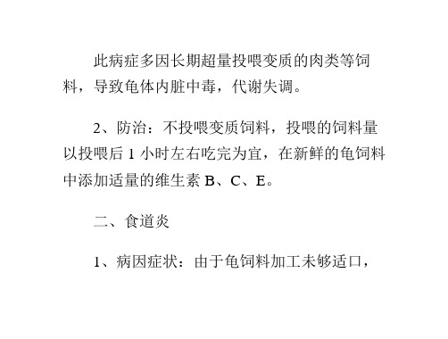 石金钱龟的常见病害防治