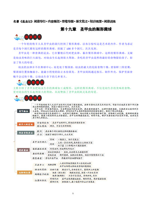 第十九章 圣甲虫的梨形粪球-名著《昆虫记》阅读导引+内容概括+思维导图+原文批注+知识梳理+阅读训练