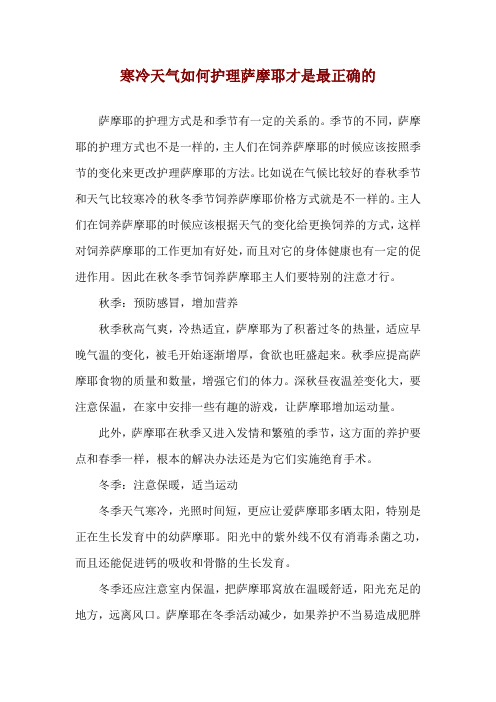 寒冷天气如何护理萨摩耶才是最正确的