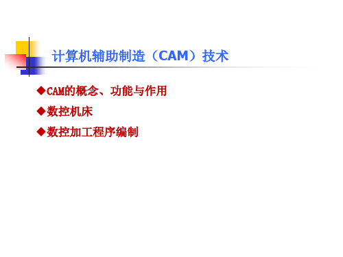 3.CAM技术