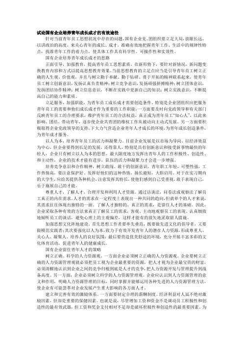 试论国有企业培养青年成长成才的有效途径