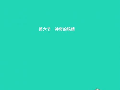 八年级物理全册4.6神奇的眼睛习题课件(新版)沪科版