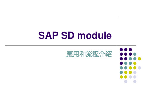 SAP SD module introduce